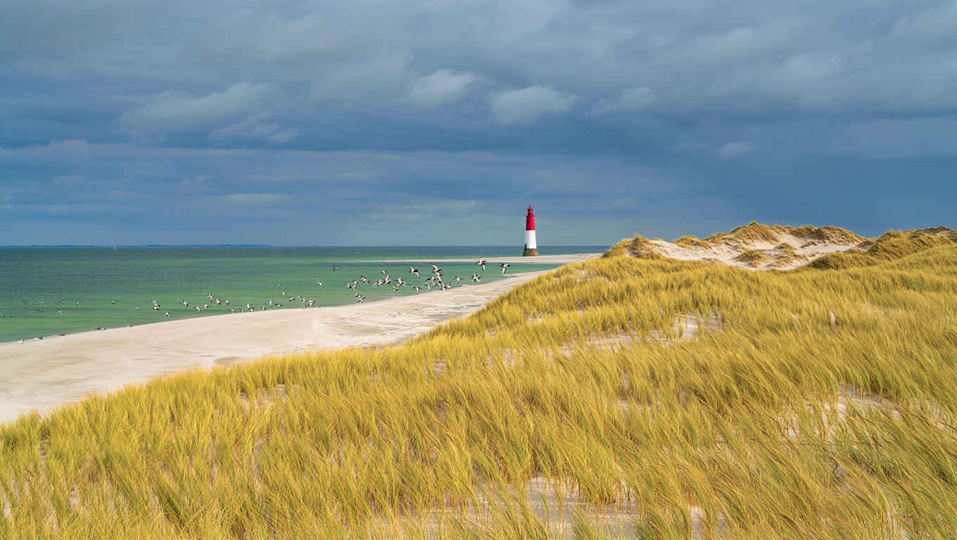 Texels kustlijn met witte zandduinen, zeegras en de typische vuurtoren in de verte
